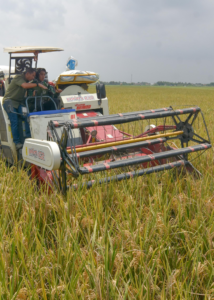 BULOG Percepat Serapan Gabah, Target 3 Juta Ton Beras Jelang Ramadan
