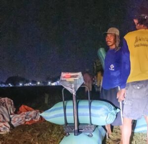 Panen Raya 2025: Harga Gabah Rp6.500/Kg, BULOG Pastikan Kesejahteraan Petani