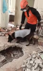 Tim K9 Polri Temukan Korban dalam Misi Kemanusiaan Myanmar 2025