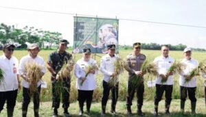 Presiden Prabowo dan Bupati Tangerang Panen Raya Serentak