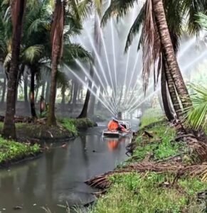 Kelapa Jadi Primadona Ekspor, Tapi Petani Masih Merana di Ladang Sendiri