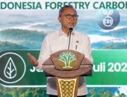 Menko Pangan Zulkifli Hasan Apresiasi Langkah Cepat Menhut Raja Juli Antoni, Perdagangan Karbon Sektor Kehutanan Siap Melaju