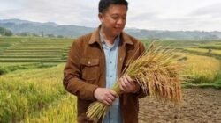 Digitalisasi Agrikultur Jadi Pilar Baru Ketahanan Moneter Nasional