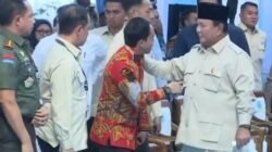 Instruksi Presiden Perlindungan Gajah Dipuji IUCN, Raja Juli Antoni Dinilai Tunjukkan Komitmen Kuat
