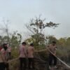 Karhutla Belum Padam, Hari Keenam Brimob Sisir Titik Api di Biak Numfor