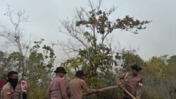 Karhutla Belum Padam, Hari Keenam Brimob Sisir Titik Api di Biak Numfor