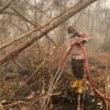Cegah Api Kembali Berkobar, Satbrimob Polda Kalteng Intensifkan Pembasahan di Tanjung Taruna